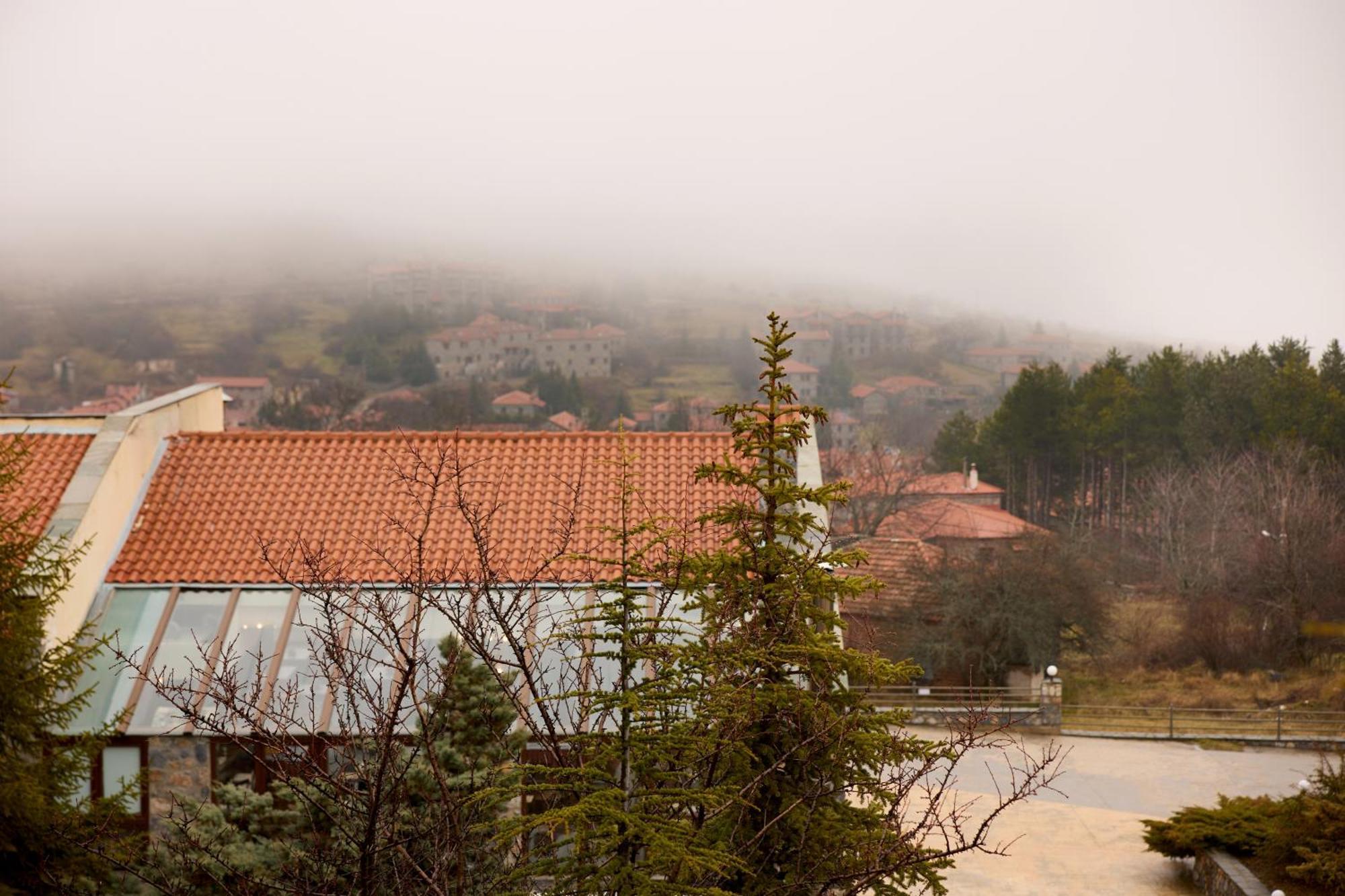 Domotel Neve Mountain Resort Agios Athanasios  Exterior foto