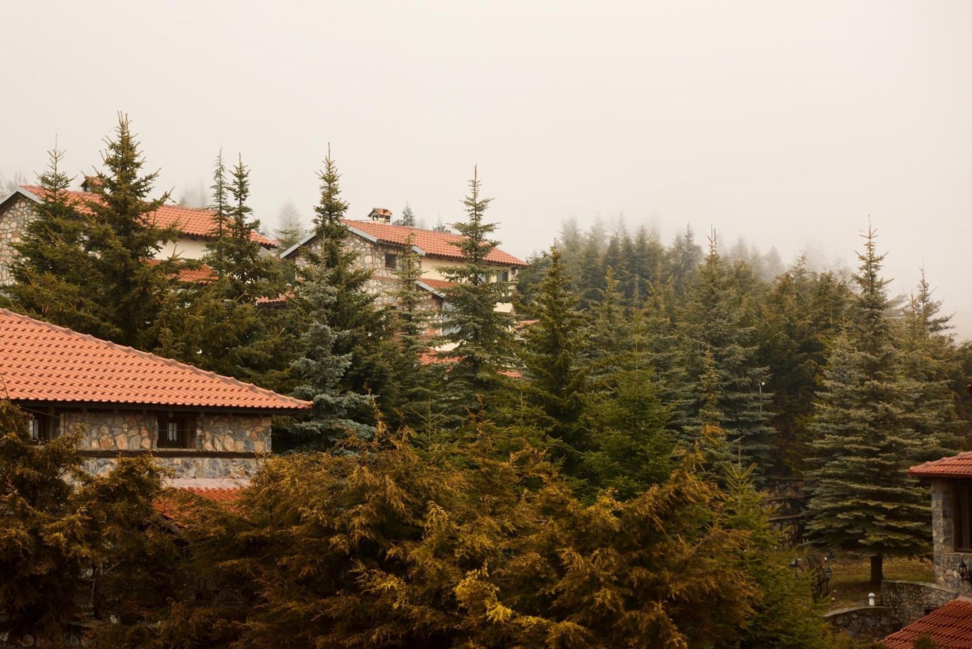 Domotel Neve Mountain Resort Agios Athanasios  Exterior foto
